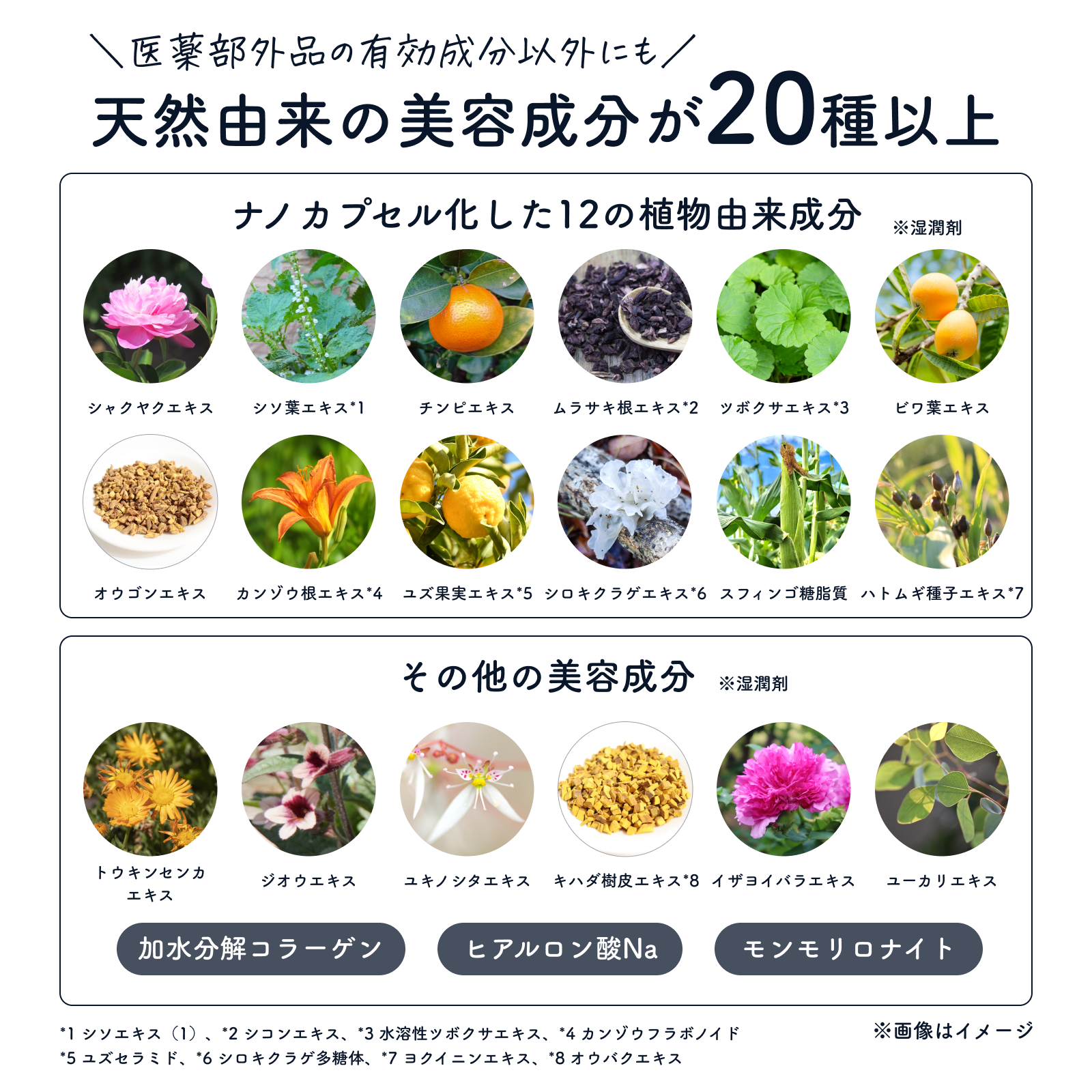 リオクス ウォータリージェル パルフェ